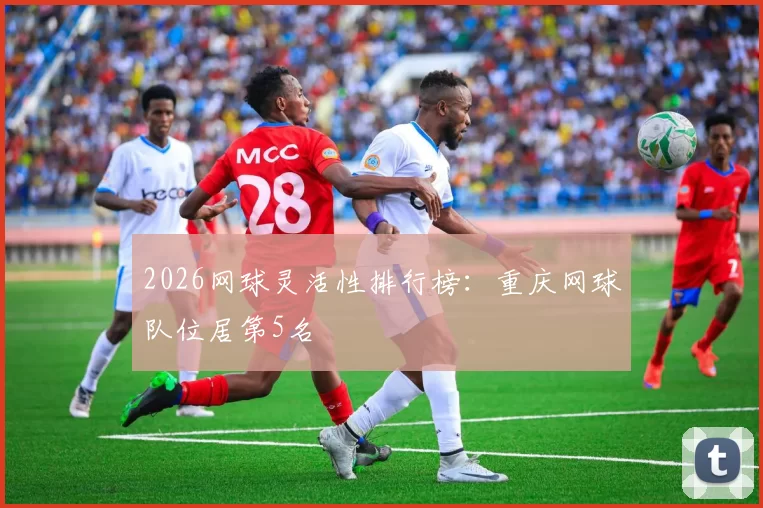 2026网球灵活性排行榜：重庆网球队位居第5名