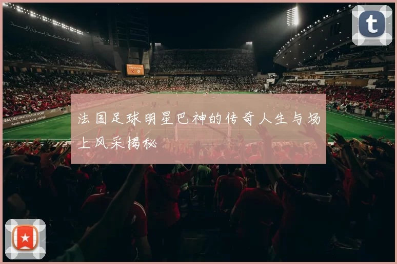 法国足球明星巴神的传奇人生与场上风采揭秘