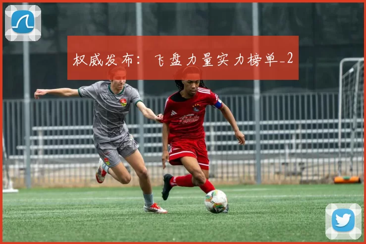 权威发布：飞盘力量实力榜单_2