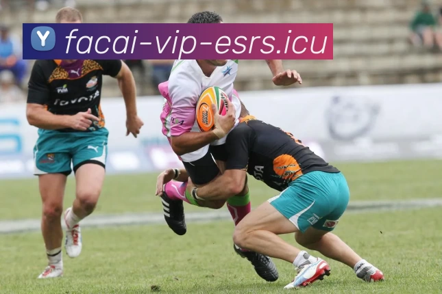 星空体育注册APP 高清赛事图